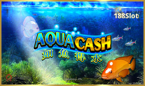 Aqua Cash